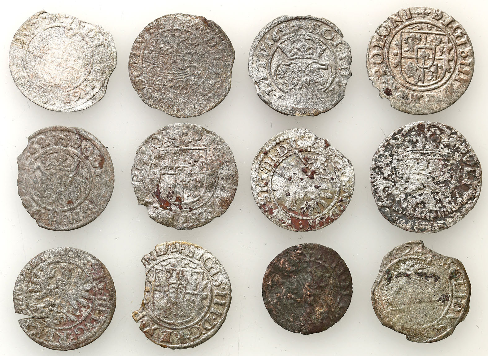Zygmunt III Waza. Szeląg, Bydgoszcz, Wilno, zestaw 12 monet